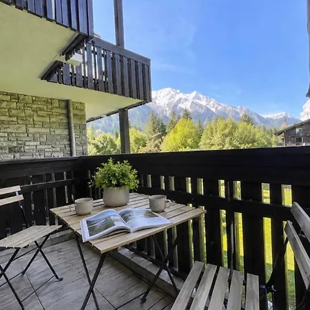 Appt In Mont Blanc View And Parking 公寓 *