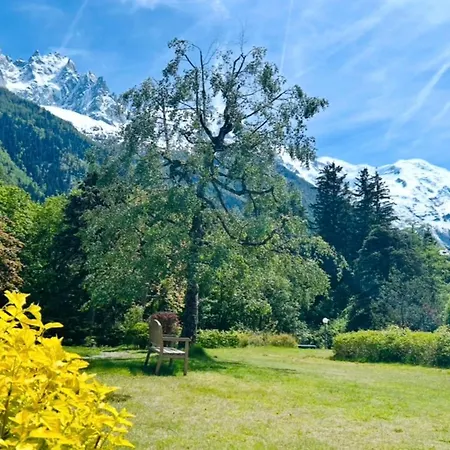 Apartamento Appt In Mont Blanc View And Parking